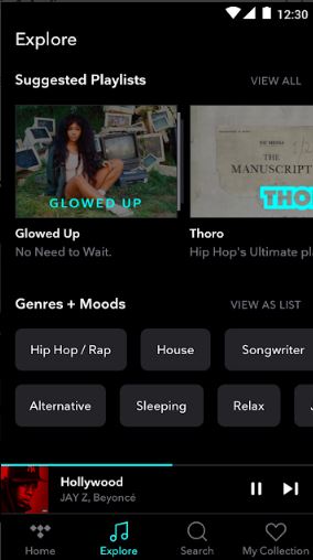 Features of Tidal Music App